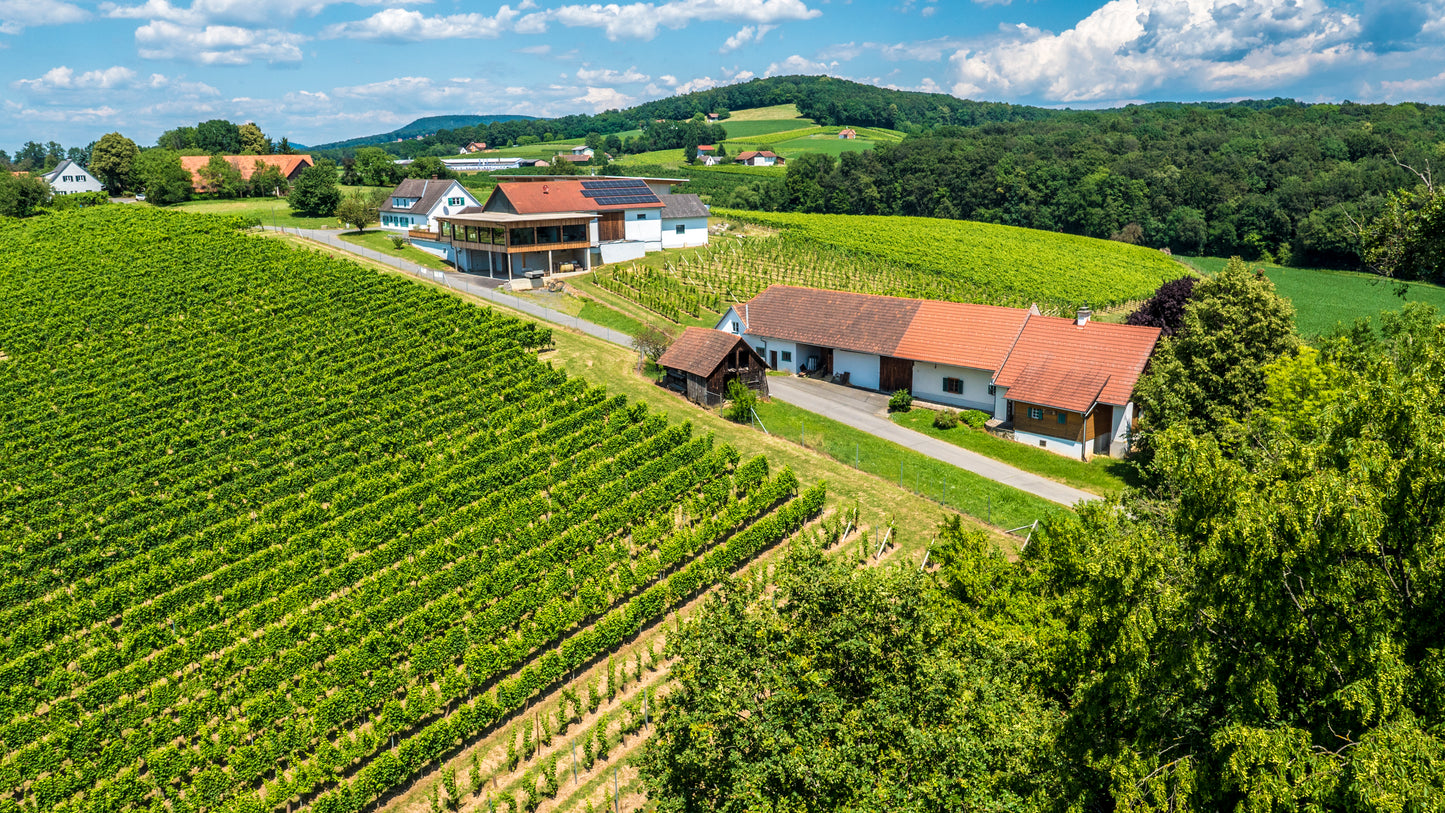 Weinreisewochenende im großen Appartement
