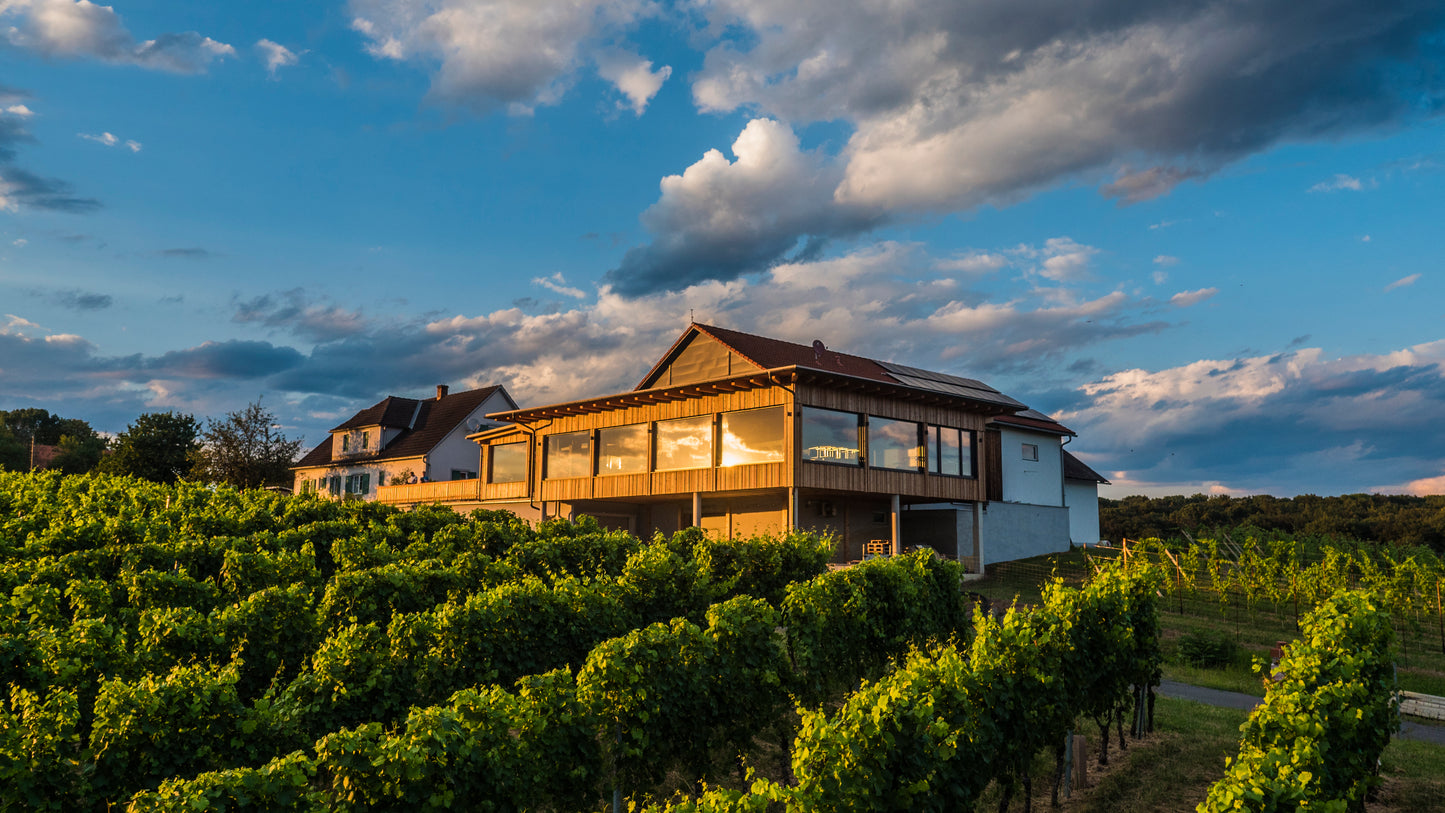 Weinreisepass mit Shuttlebus Normalpreis